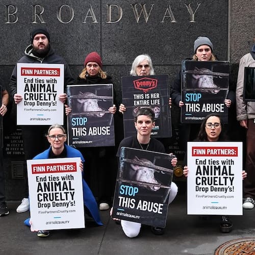 Volunteers at an Animal Equality protest
