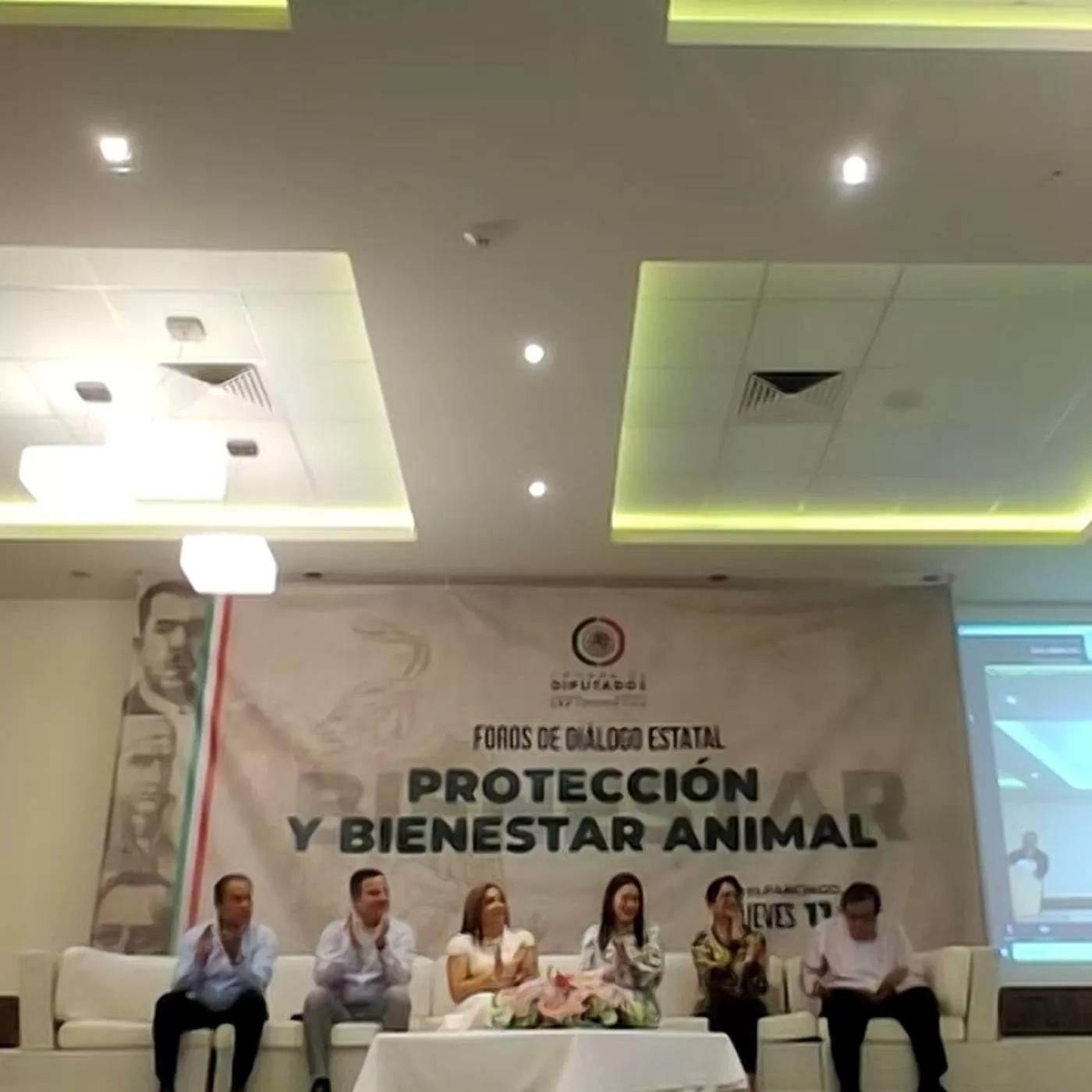 Animal Equality participates in the State Forums of the Chamber of Deputies