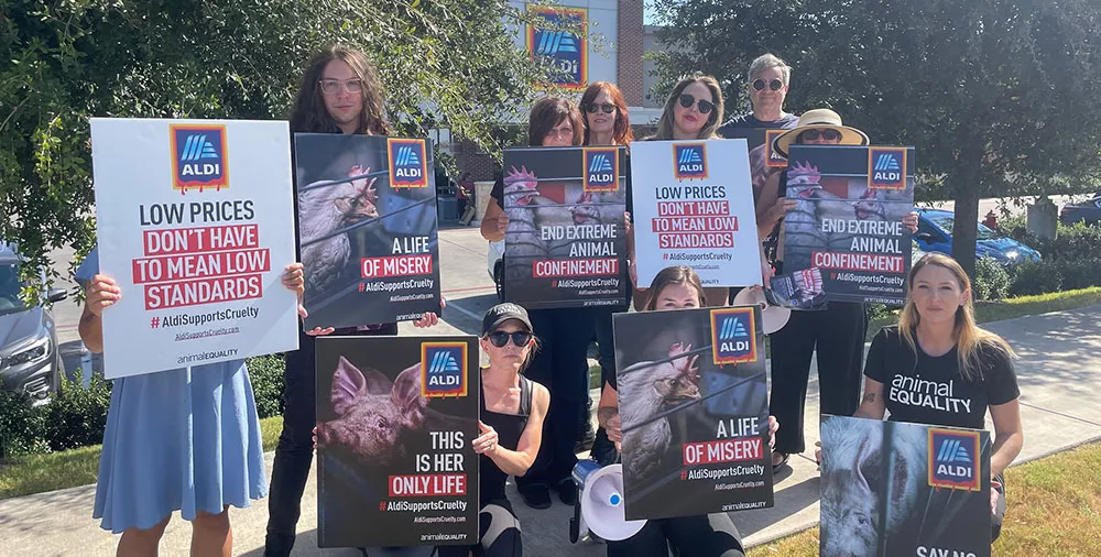 Austin Texas Protest