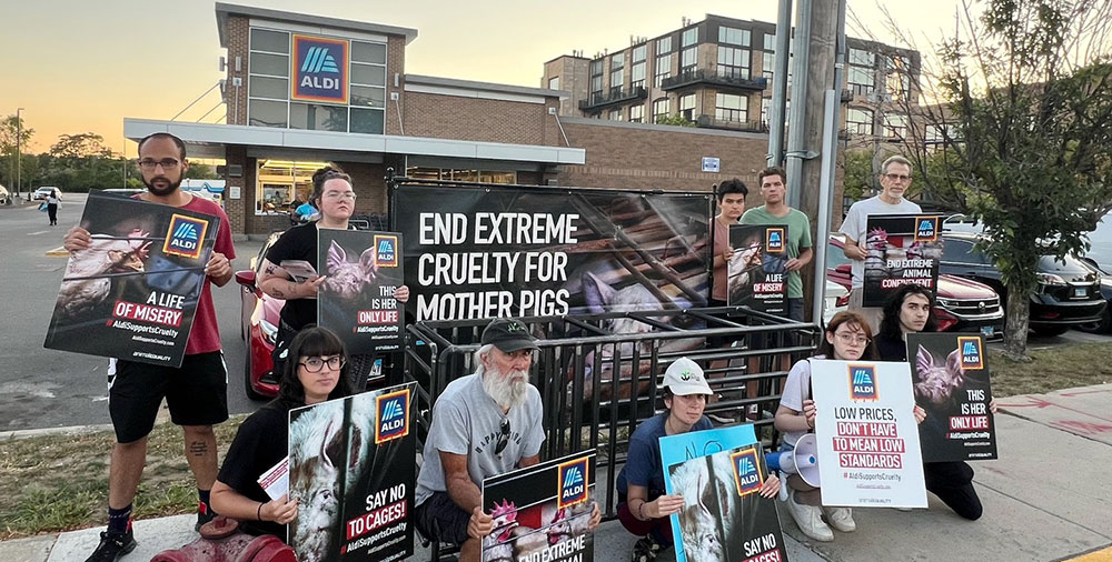 ALDI Protest in Chicago