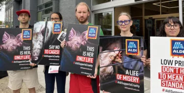 Protesta de ALDI en Nueva York