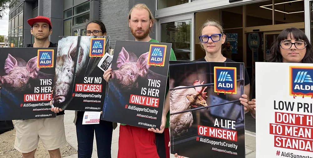 new york ALDI protest