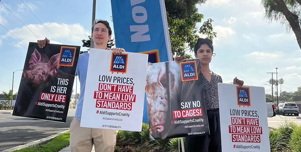 Torrance, CA ALDI protest