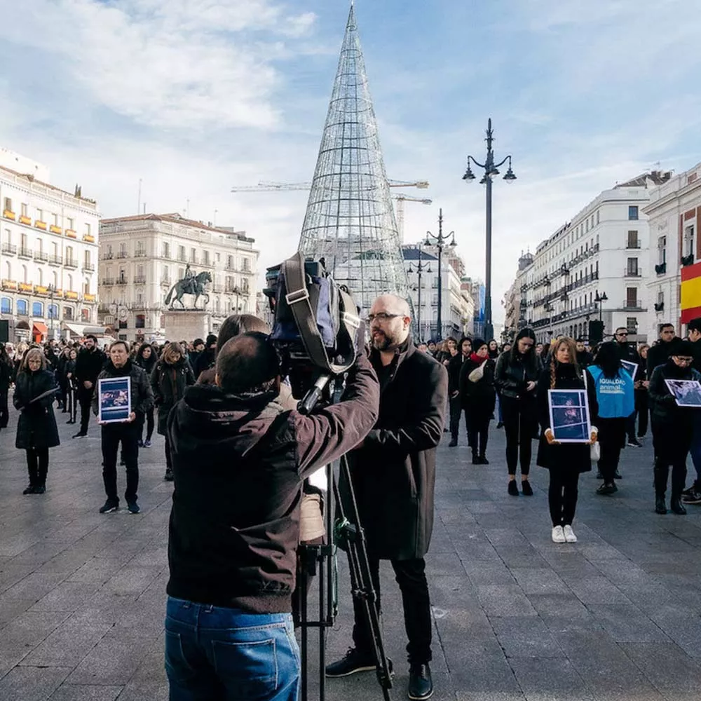 Animal Equality volunteers and journalists