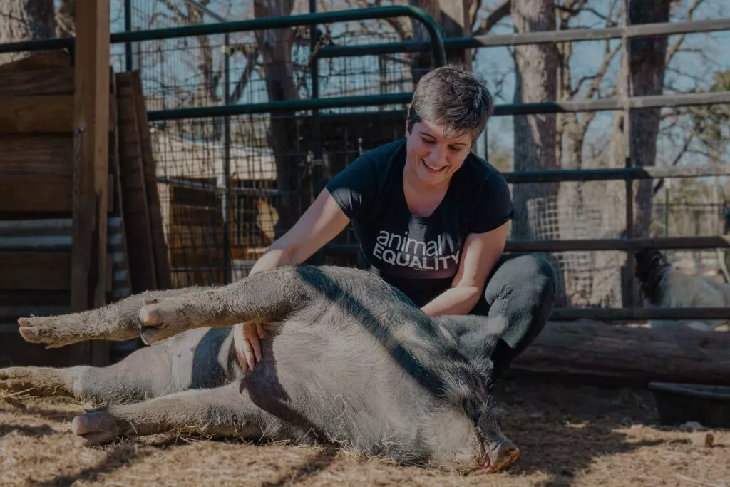 Animal Equality