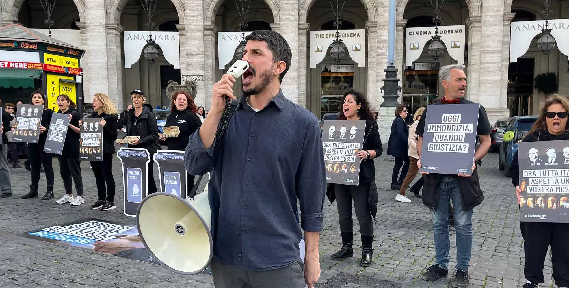 Italy’s long-awaited action on chick killing in the egg industry 5