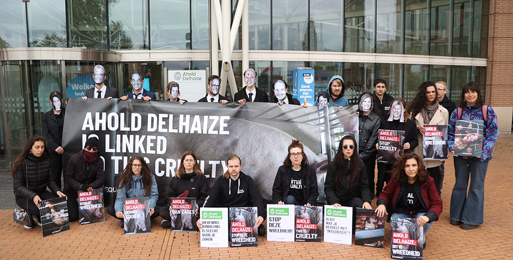ahold delhaize zaandam protest