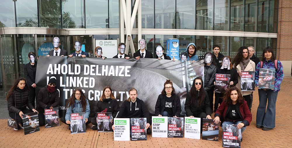 ahold delhaize zaandam protest