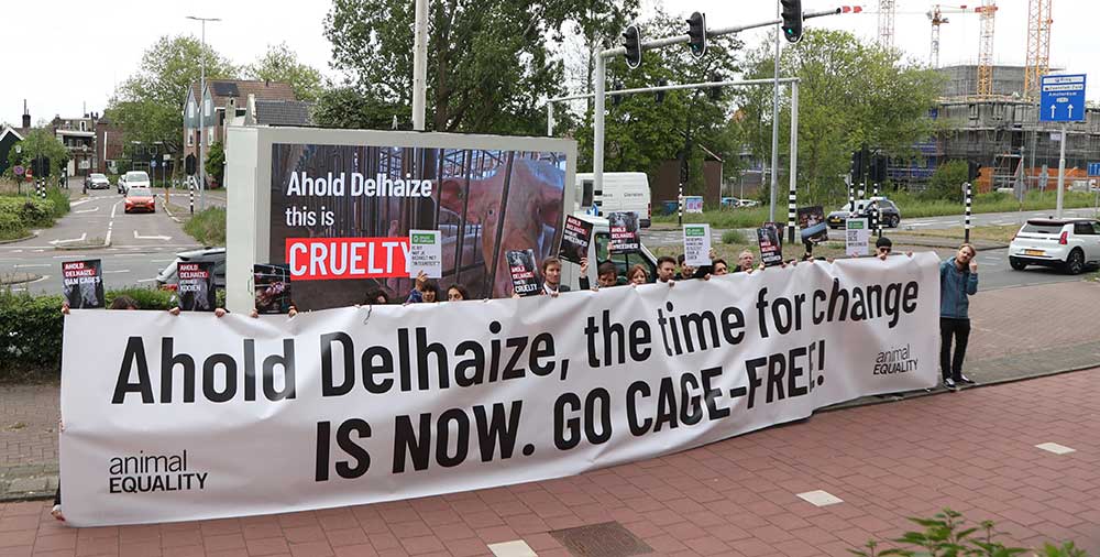 Ahold Delhaize protest outside headquarters in Zandaam