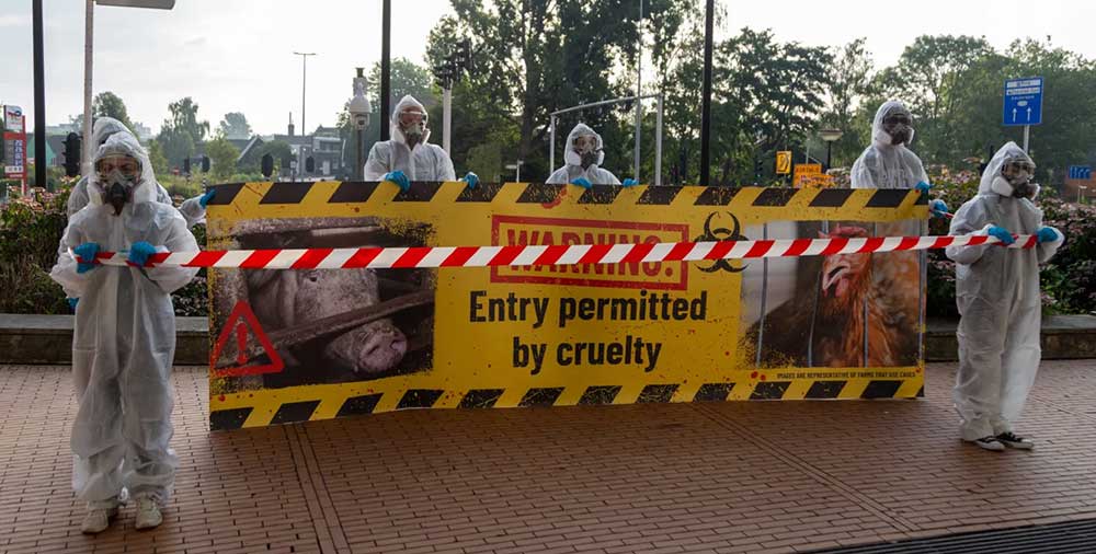 Ahold Delhaize protest July 2025