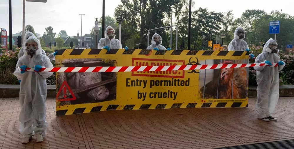 Ahold Delhaize protest July 2025