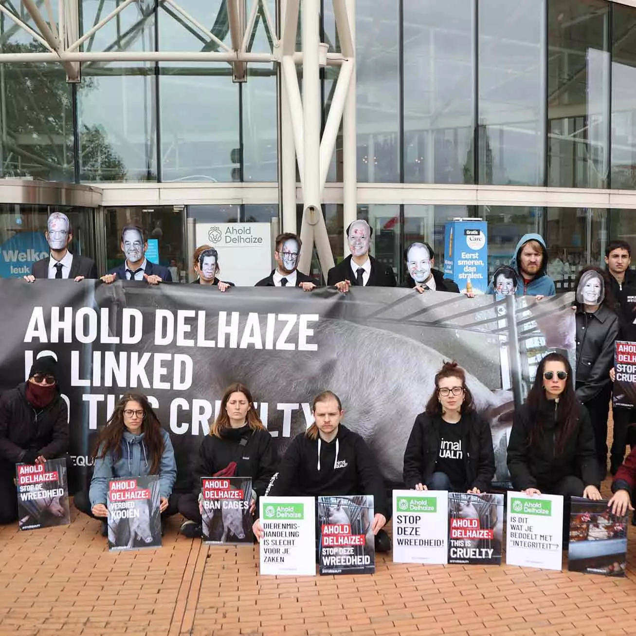 ahiold delhaize