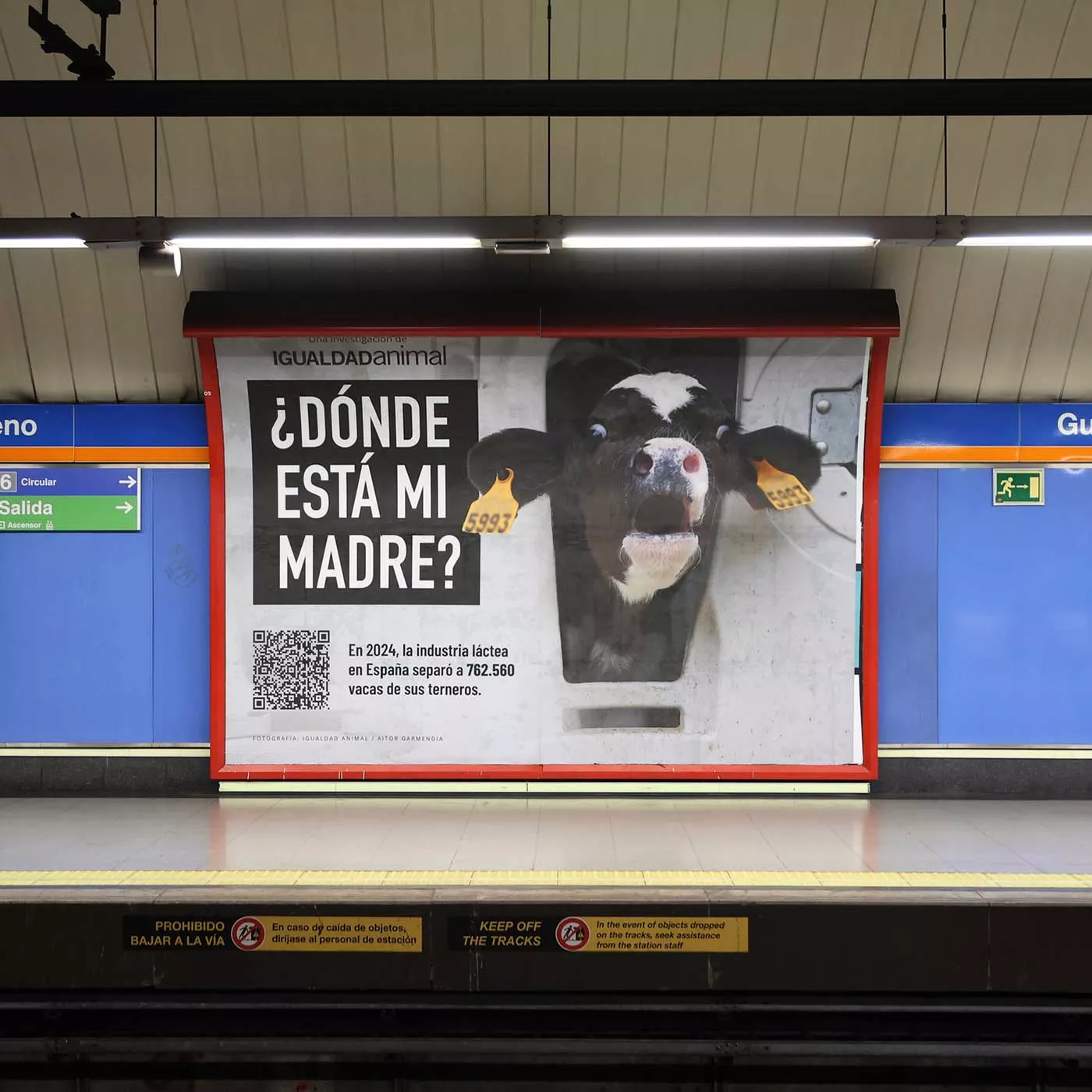 metro, dairy