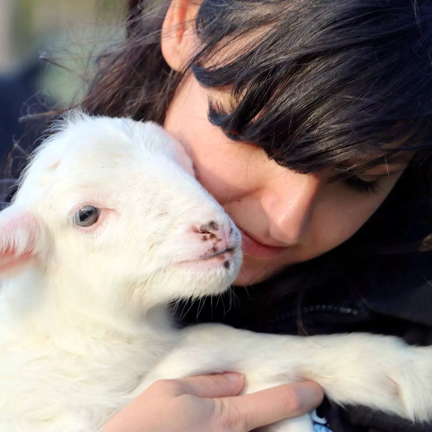 Italy Rescued Lamb Woman Activist Web 1500x1500