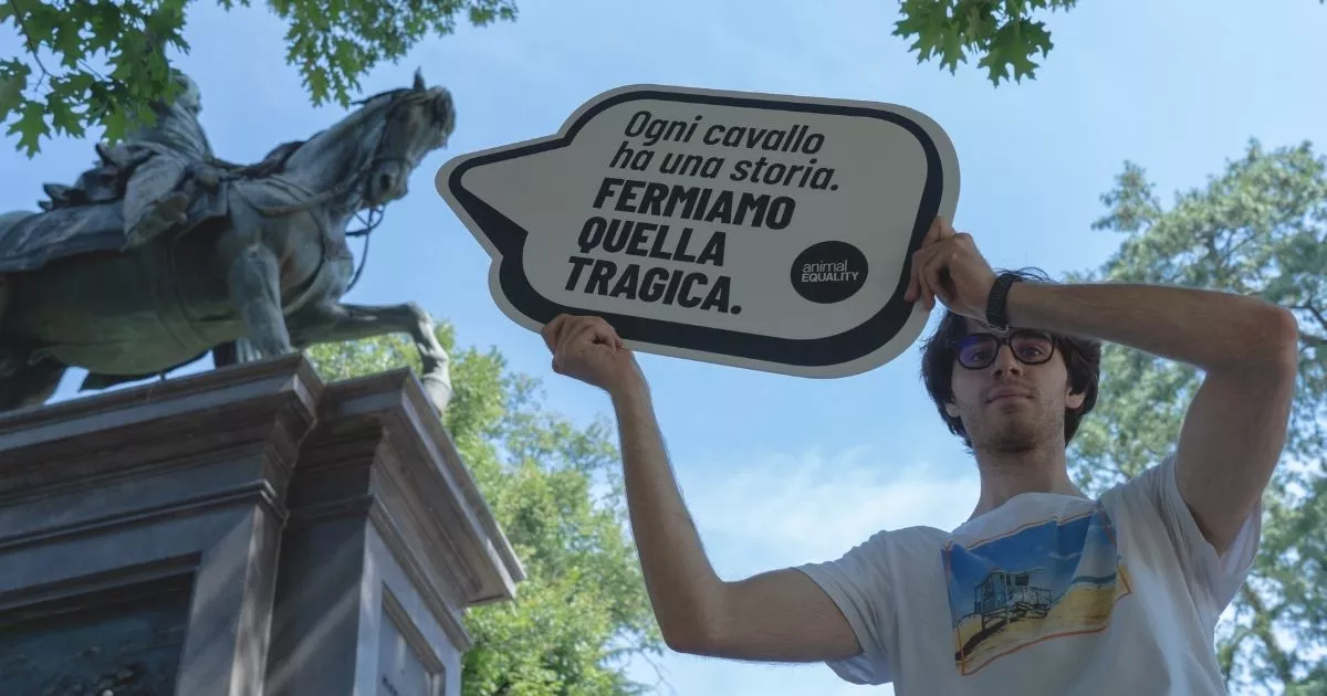 2025 Fall impact report 15