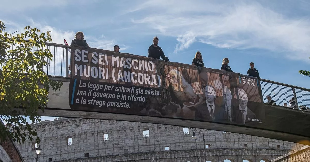 2025 Fall impact report 12