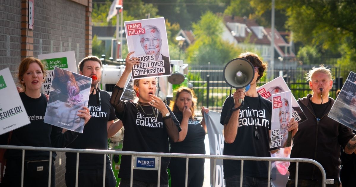 Activistas de Igualdad Animal protestando frente a la sede de Ahold Delhaize en Zaandam, Países Bajos. 
