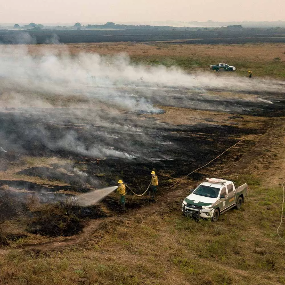 Why is Brazil burning? 2 Firefighters extinguishing fire in Brazil
