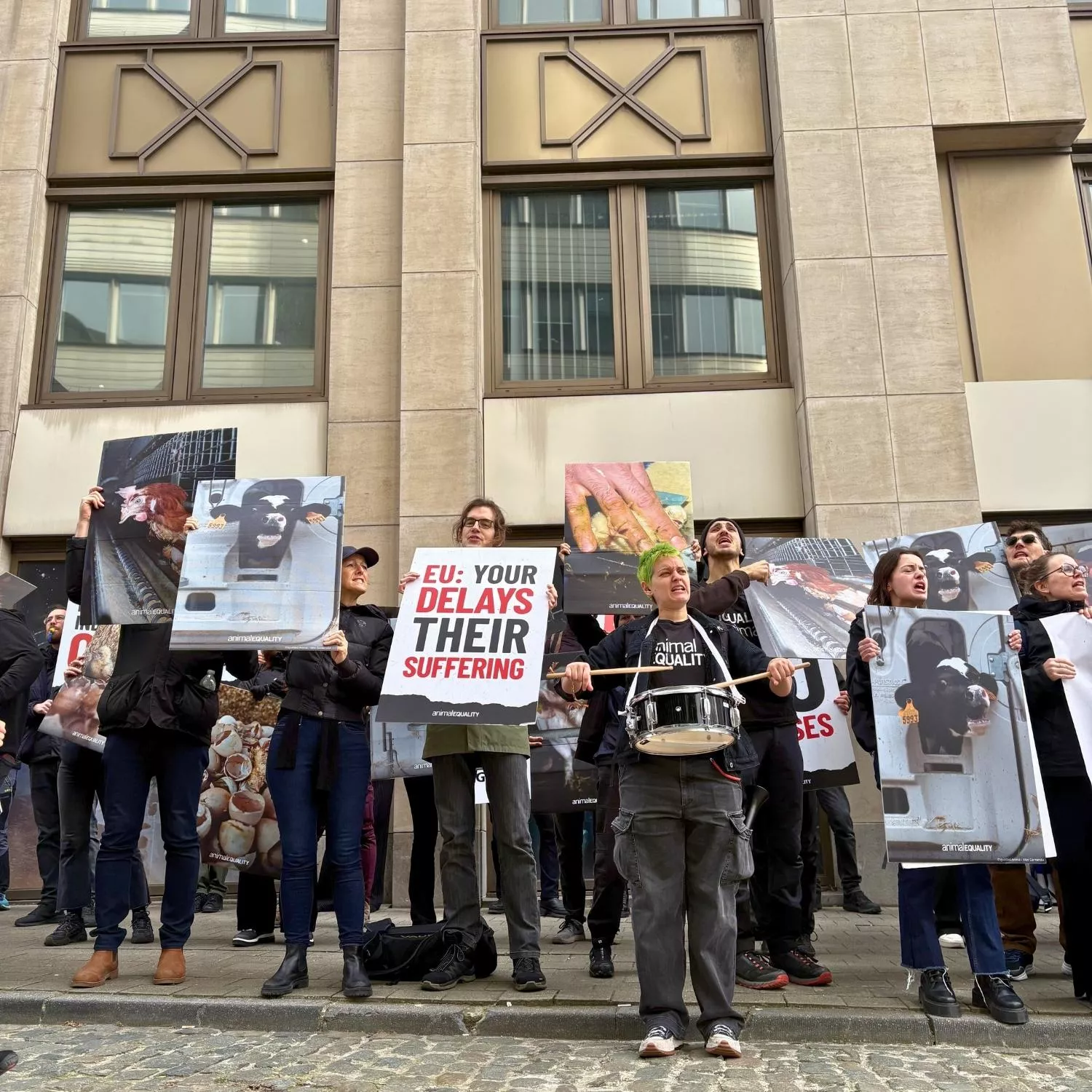 European Union stalls on its promise to ‘End the Cage Age’ as activists fight back