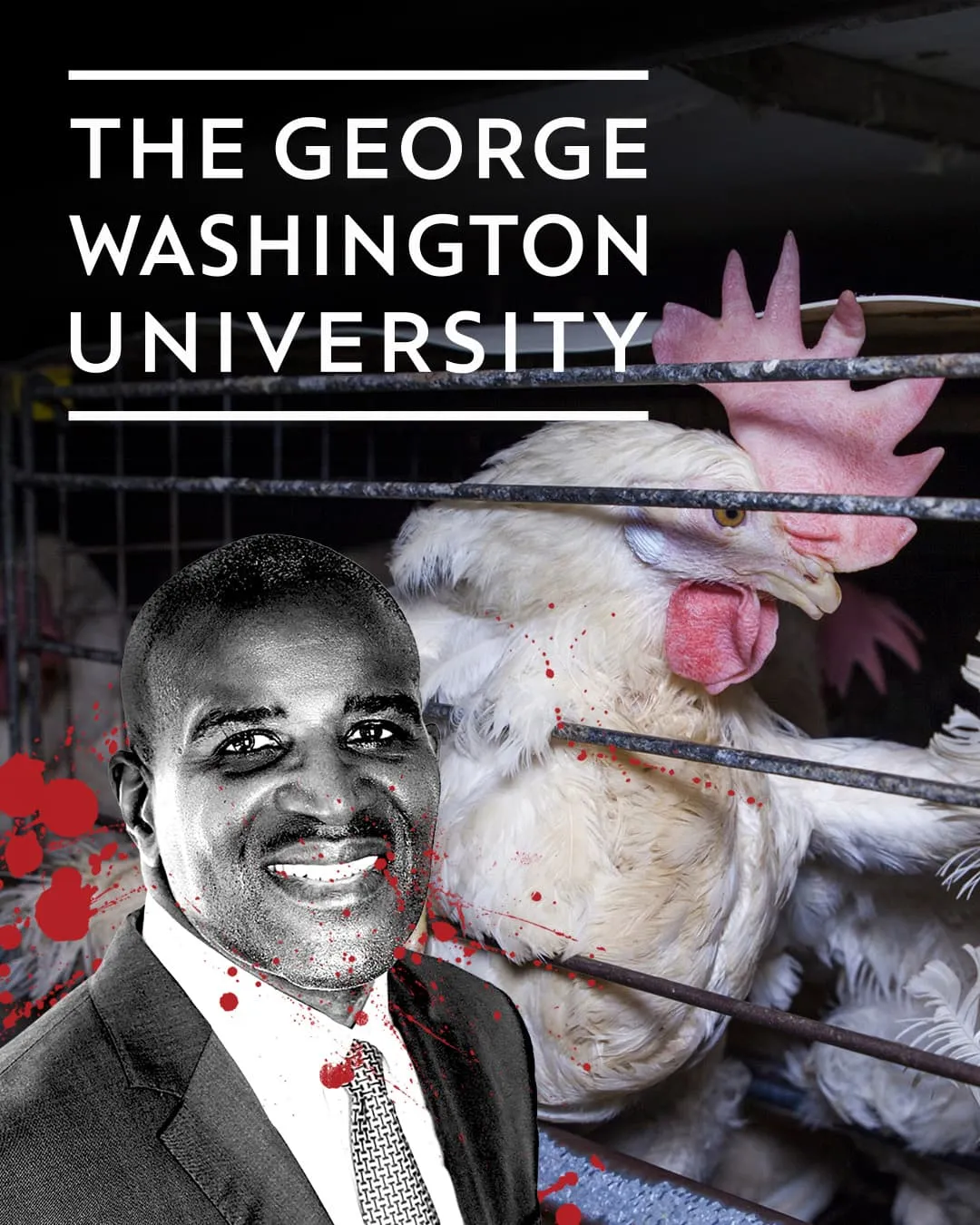 Kevin Brown next to chicken in cage with GWU logo