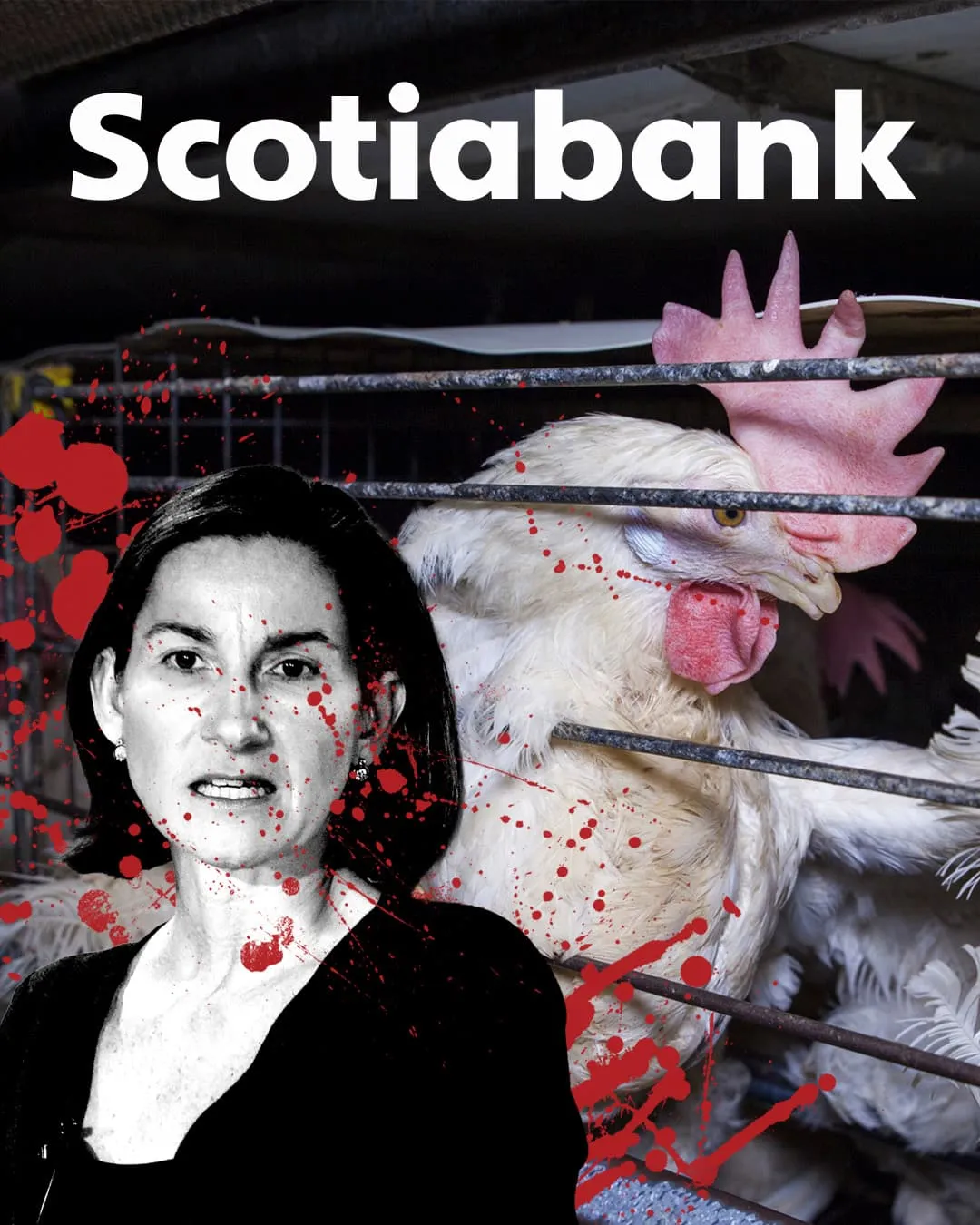 Nora Aufreiter next to caged chicken with Scotiabank logo