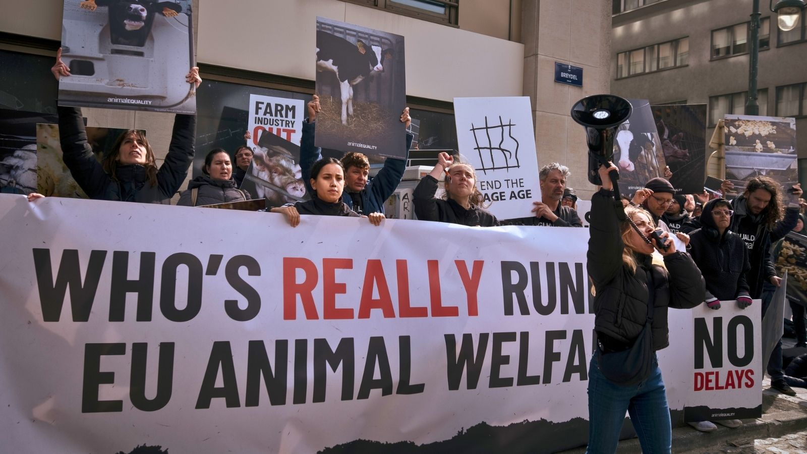 Activists holding signs protest outside the European Union headquarters in Brussels.