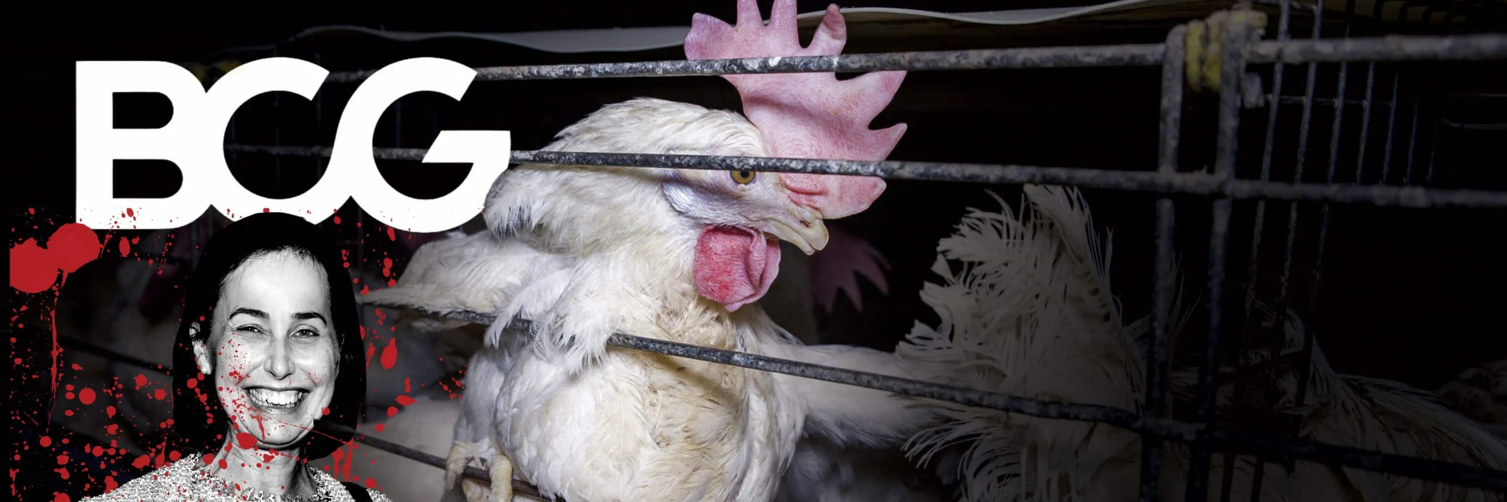 Amanda Sourry ties Boston Consulting Group to animal cruelty
