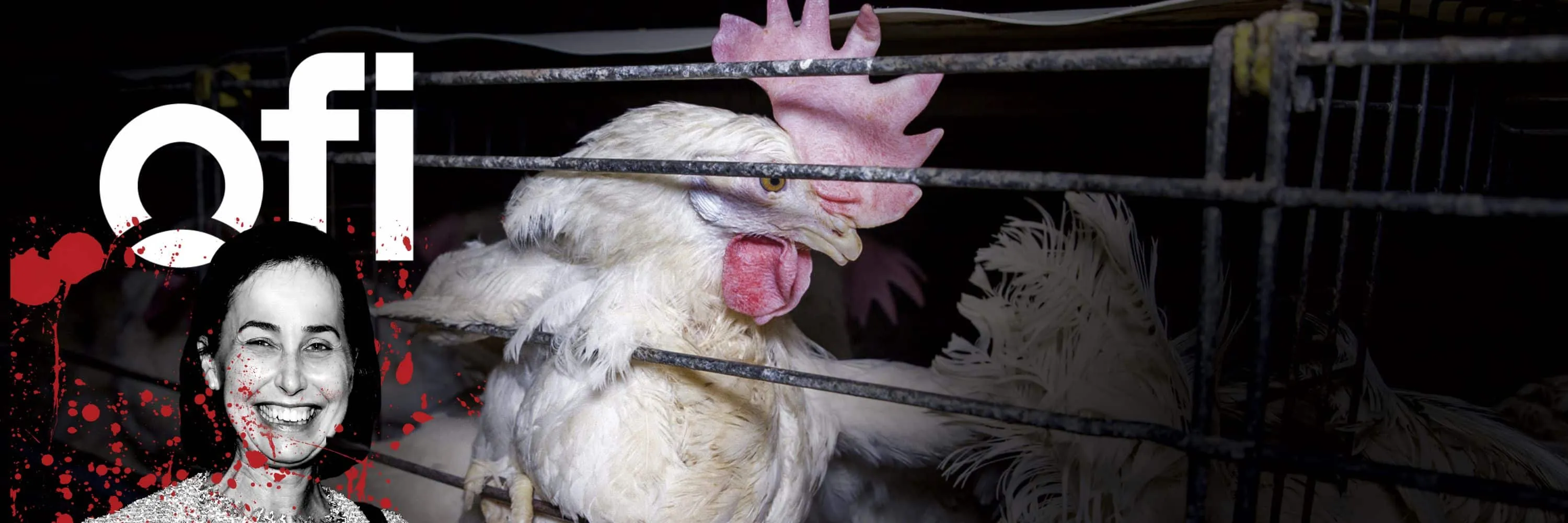 Amanda Sourry ties OFI to animal cruelty