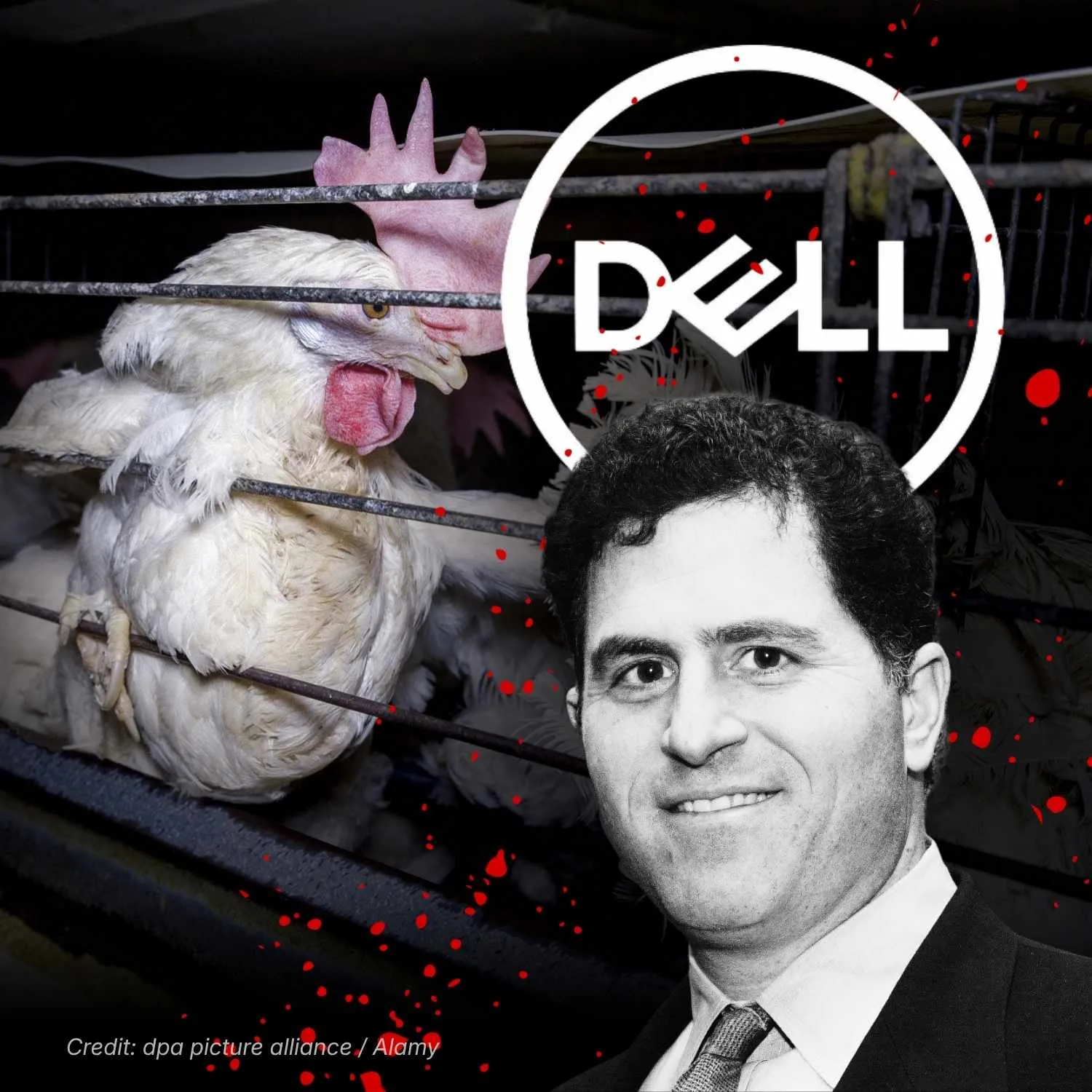 Michael Dell pictured with caged hen
