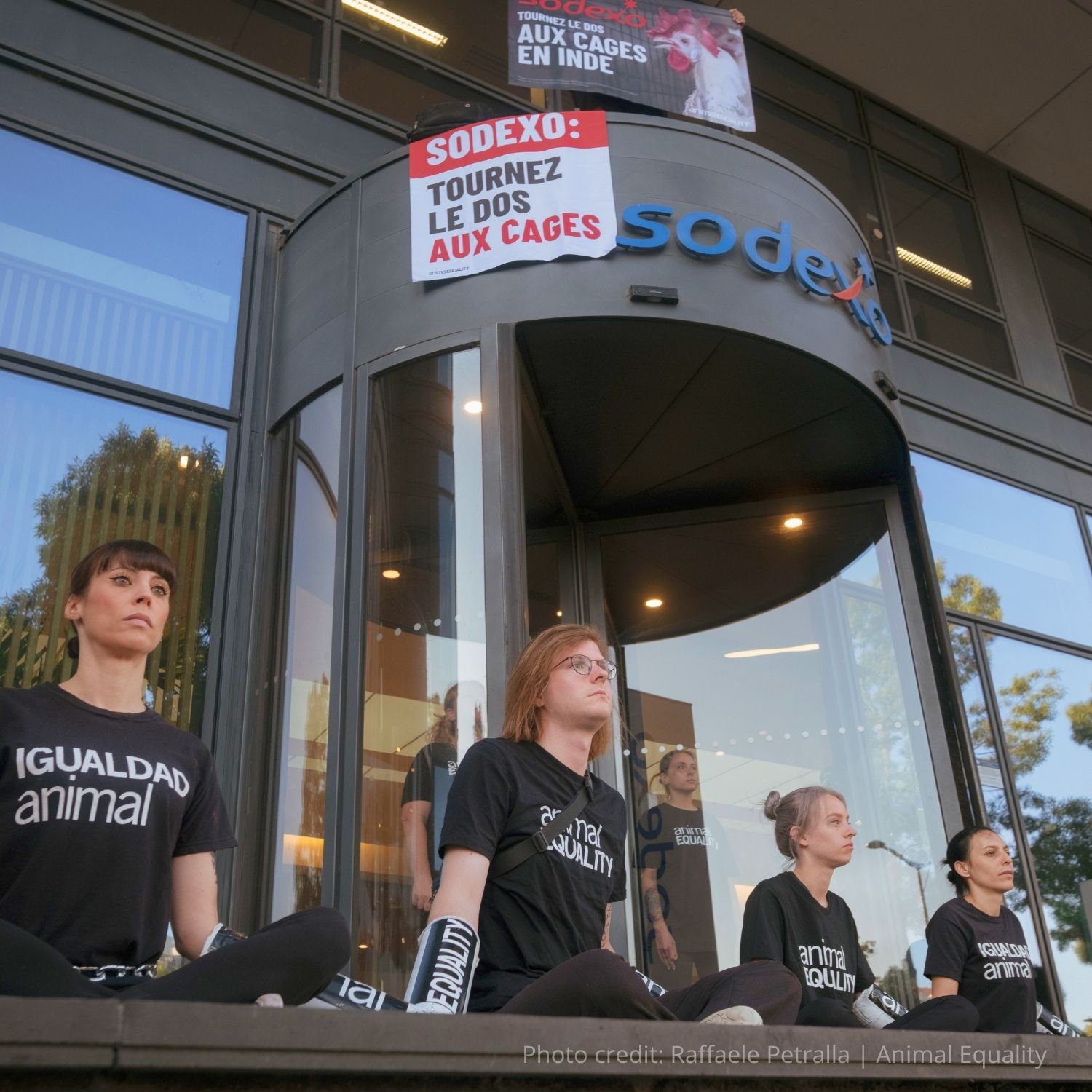 Animal Equality activists chained to Sodexo's headquarters, protesting broken cage-free promise.