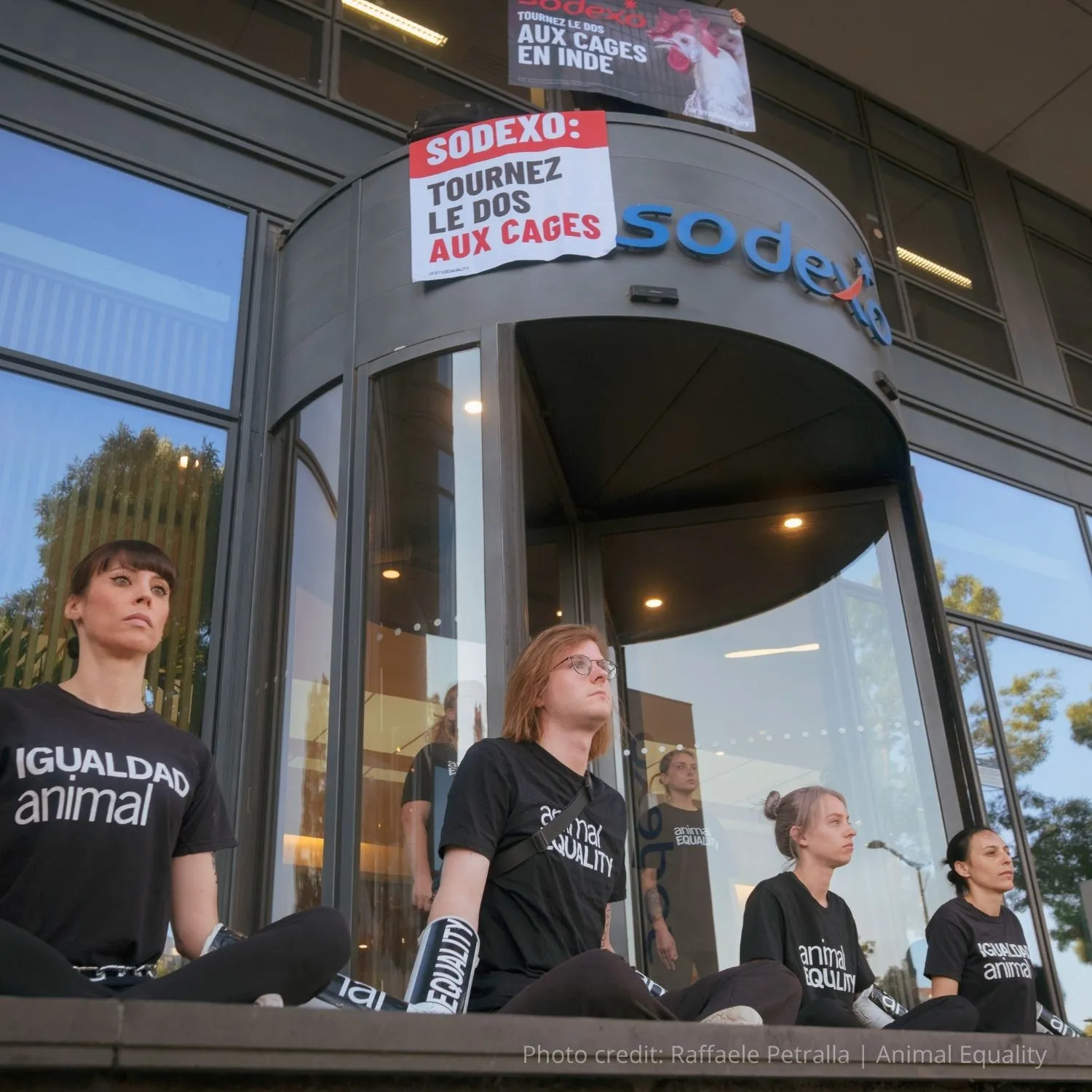 Activists end Sodexo protest after company agrees to engage on cage-free promise