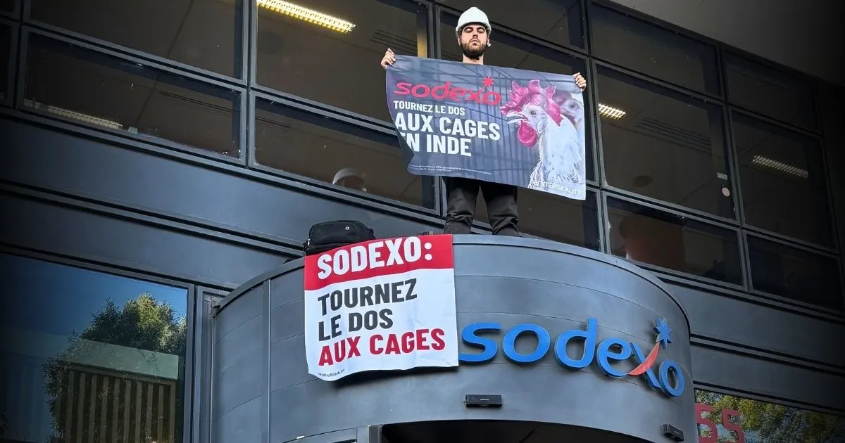 Animal Equality activist at Sodexo's headquarters, protesting broken cage-free promise.
