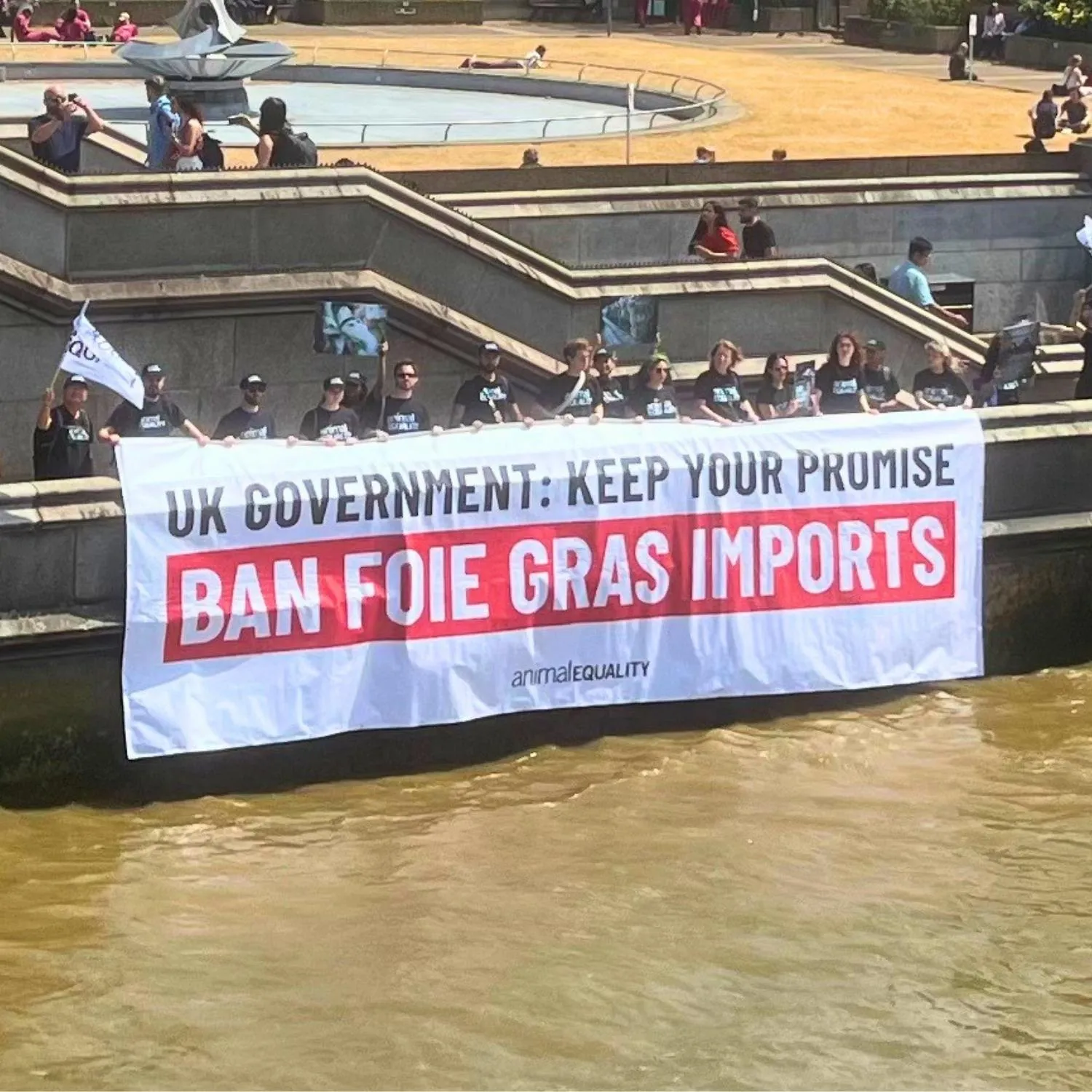 The UK promised to ban foie gras imports. That promise is now at risk. 1 The UK promised to ban foie gras imports. That promise is now at risk.