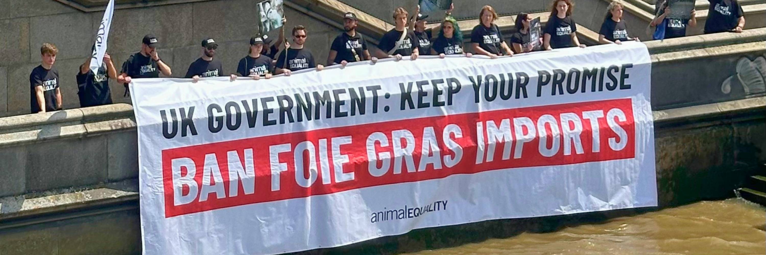 Animal Equality activists hold a banner reading "Ban foie gras imports" along the Thames River in London, facing the Houses of Parliament.