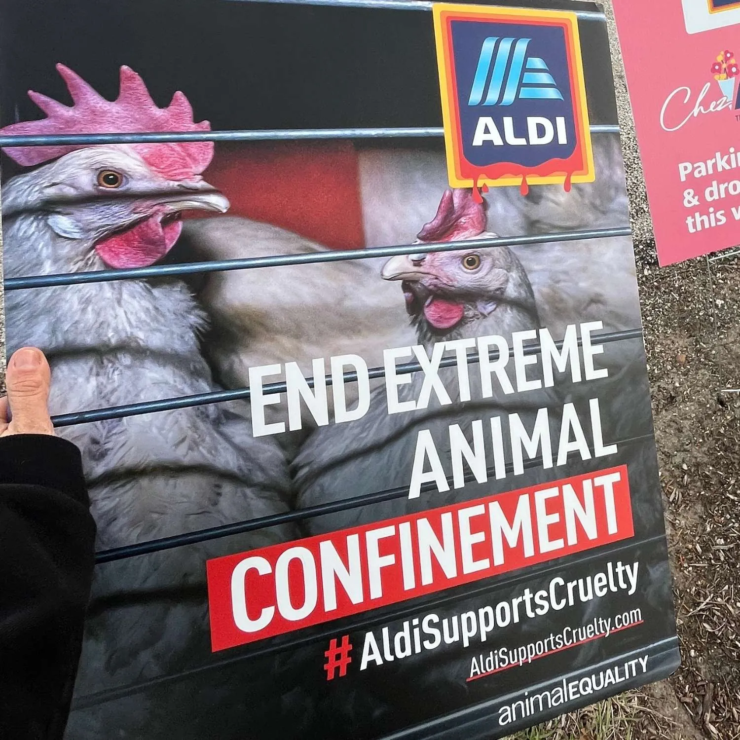 A protester holds a sign calling on Aldi to eliminate cages for hens.