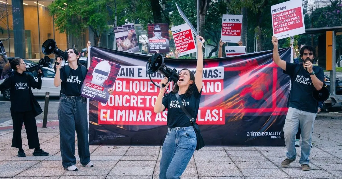 Animal Equality activists hold protest signs outside McCain Foods' offices in São Paulo, Brazil.