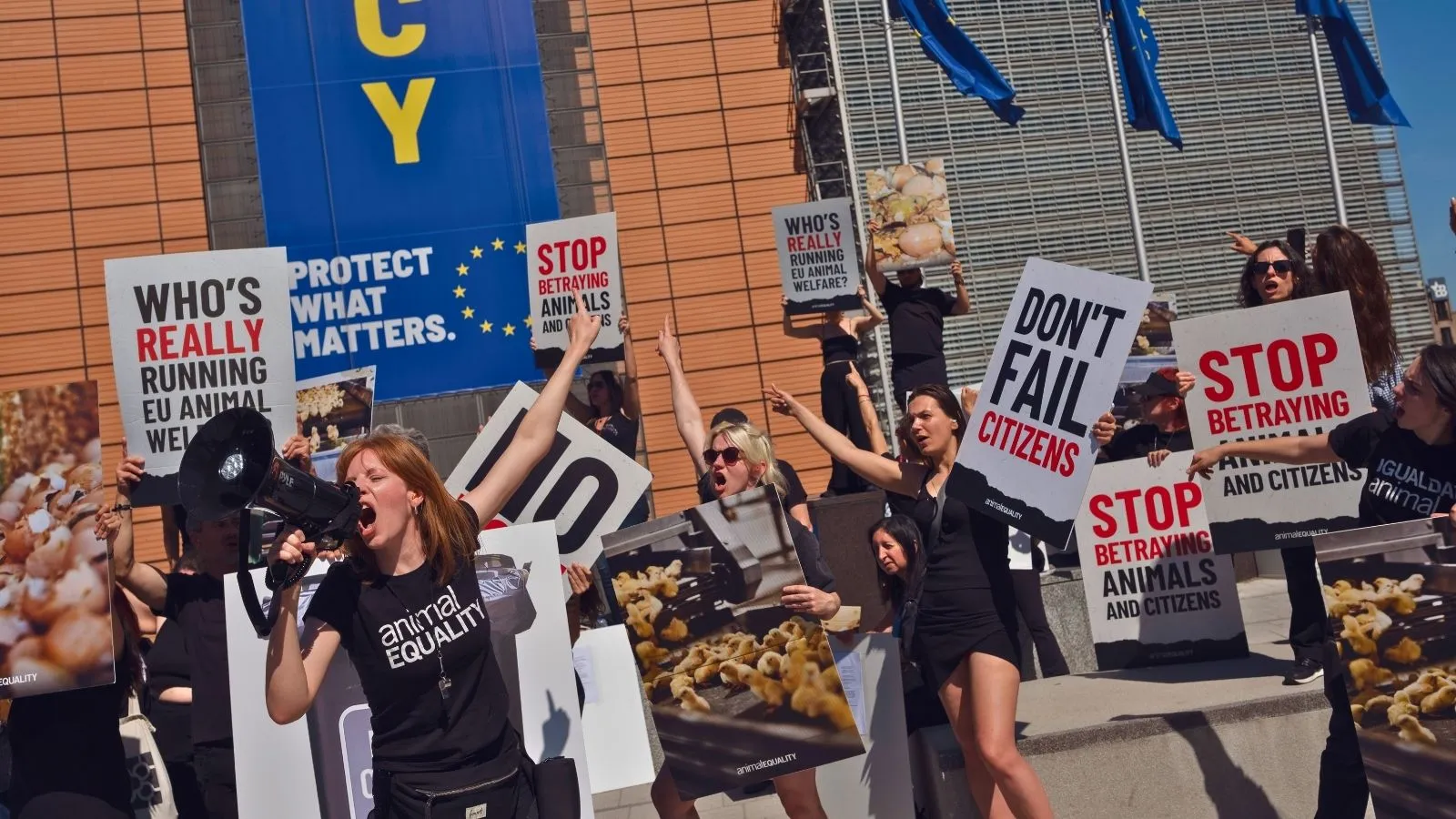 Activists protest outside the EU headquarters in Brussells.