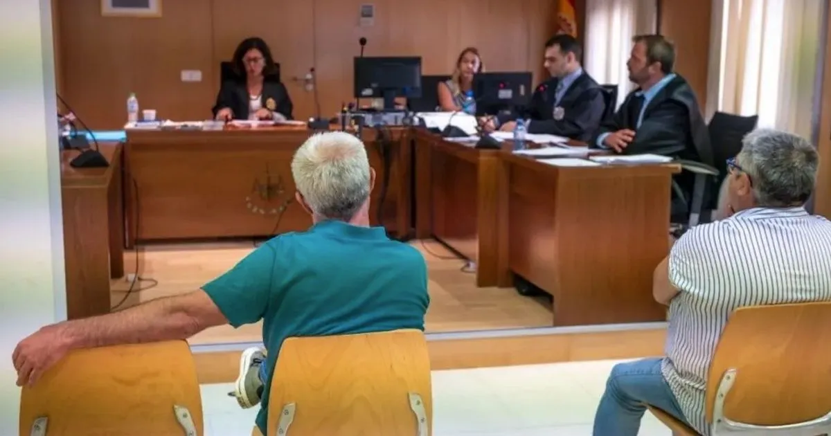 The Carrasco brothers sit before a judge during their trial in Spain over animal abuse at their pig farm.