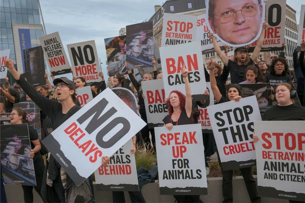 Hundreds of Animal Equality activists protest outside the European Commission in Brussels, Belgium, holding signs calling for farmed animal protection reforms.