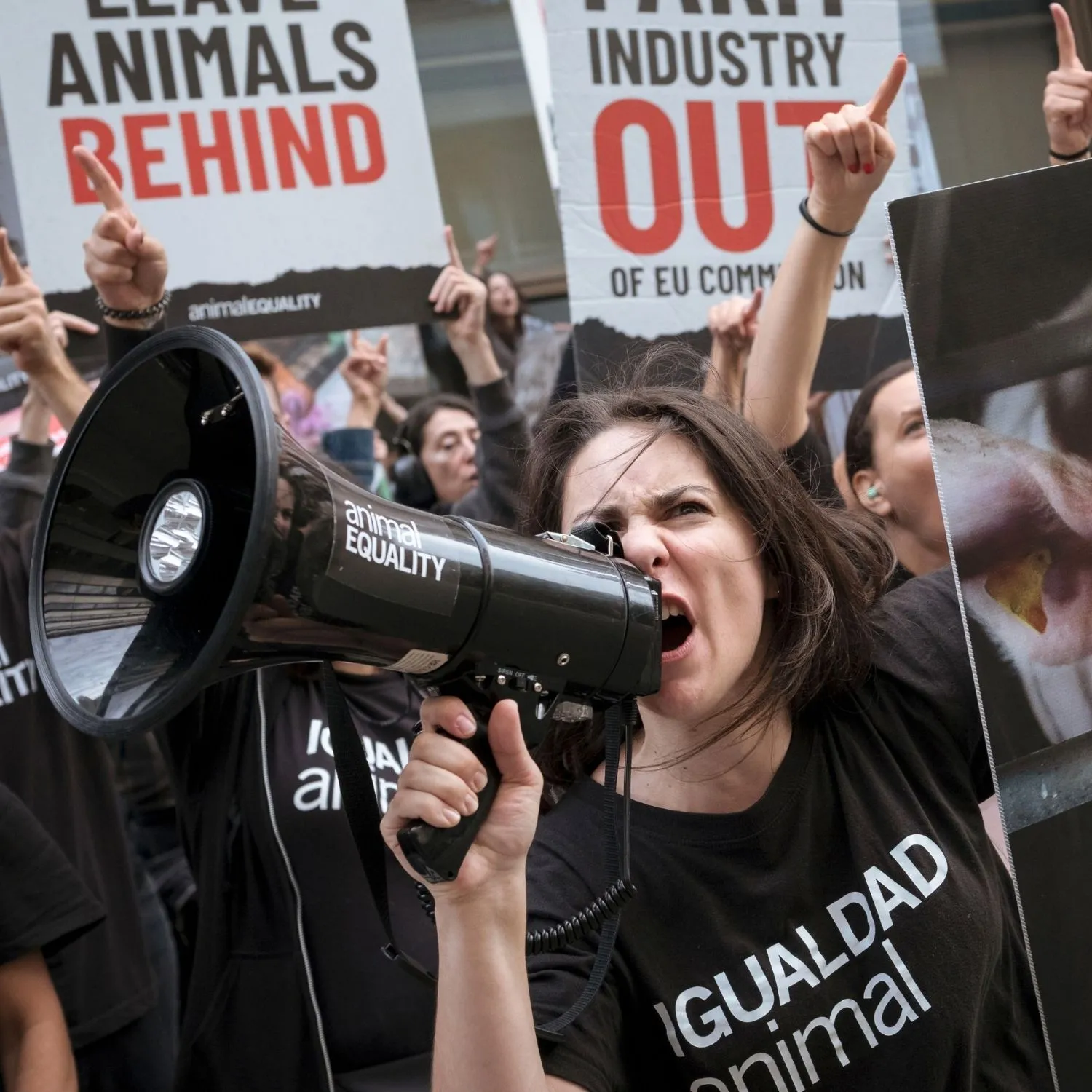 Over 300 activists protest in Brussels as European Union stalls on animal protection reforms