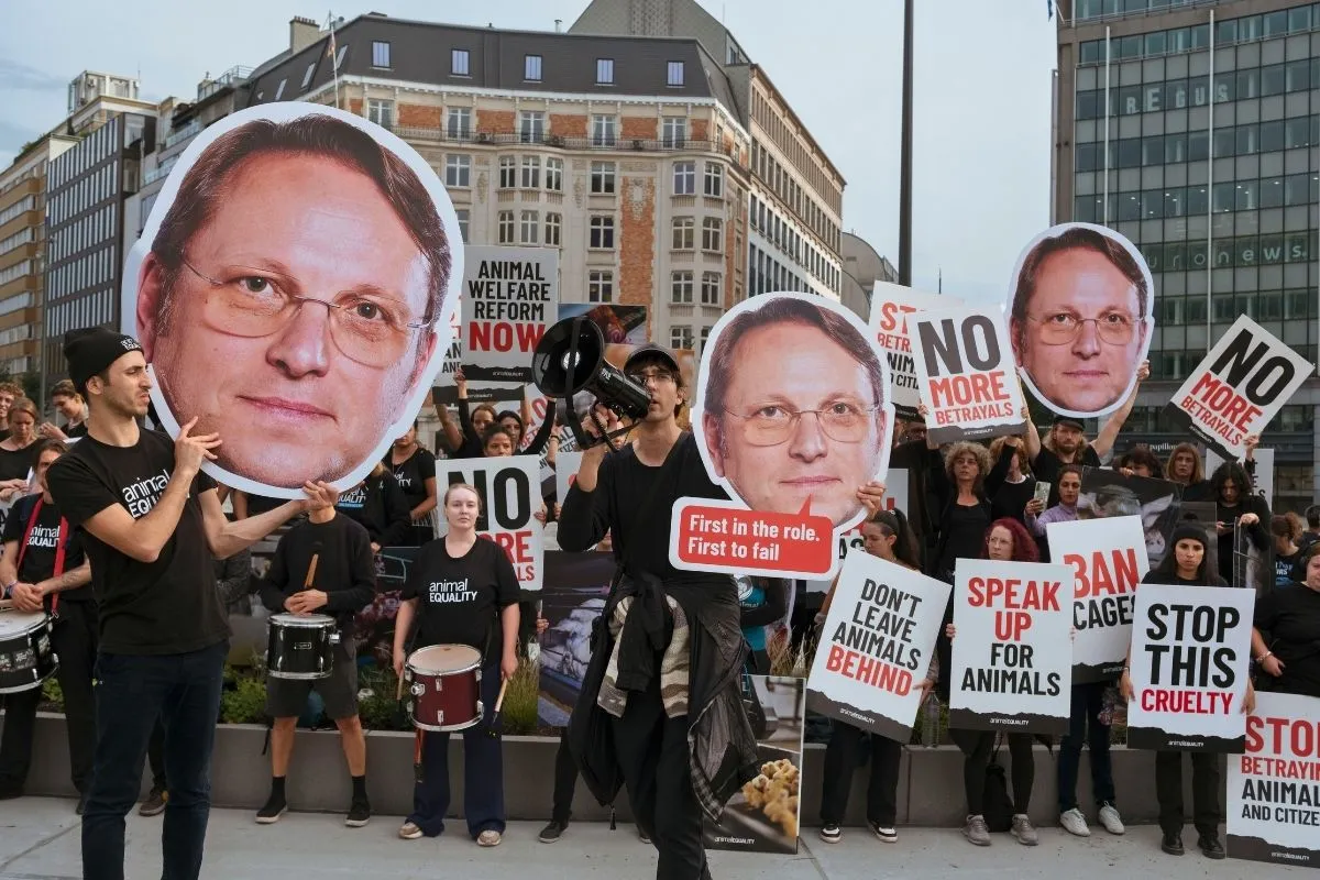 Hundreds of Animal Equality activists protest outside the European Commission in Brussels, Belgium, holding signs calling for farmed animal protection reforms.
