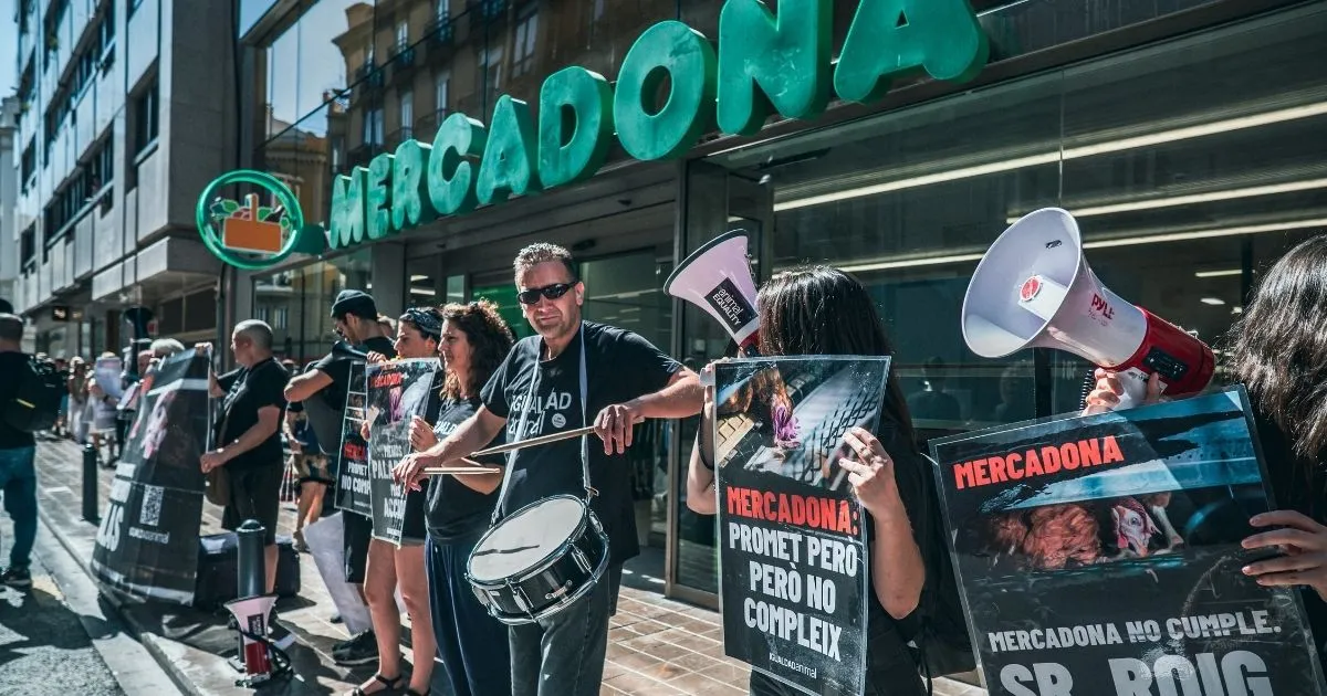 Animal Equality activists protest outside a Mercadona store in Valencia, Spain on June 16, 2026, calling on the company to fulfill its cage-free commitment.