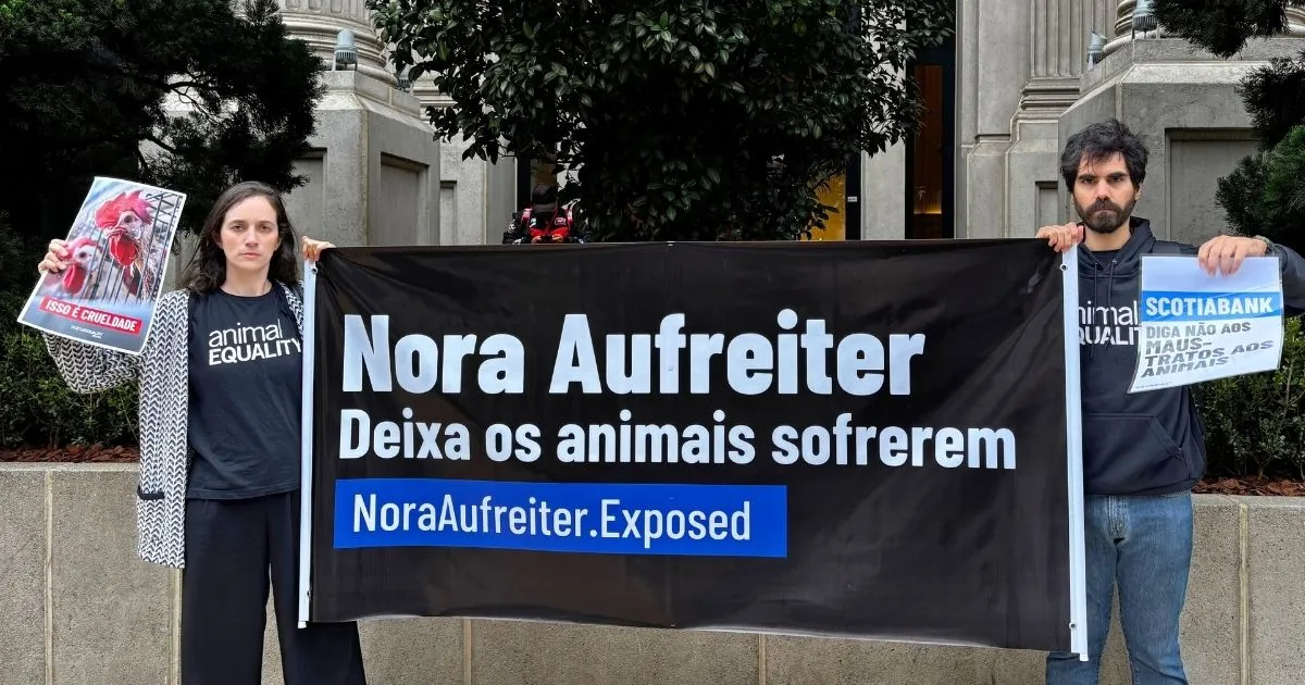 Animal Equality activists protest outside Scotiabank in Brazil on May 22, 2026, holding a sign reading "Nora Aufreiter lets animals suffer."