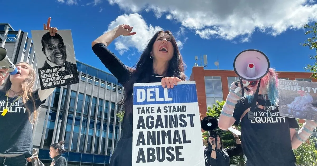 Animal Equality activists protest outside Dell Technologies in Dublin, Ireland on June 8, 2026, calling on Dell to take a stand against animal abuse.