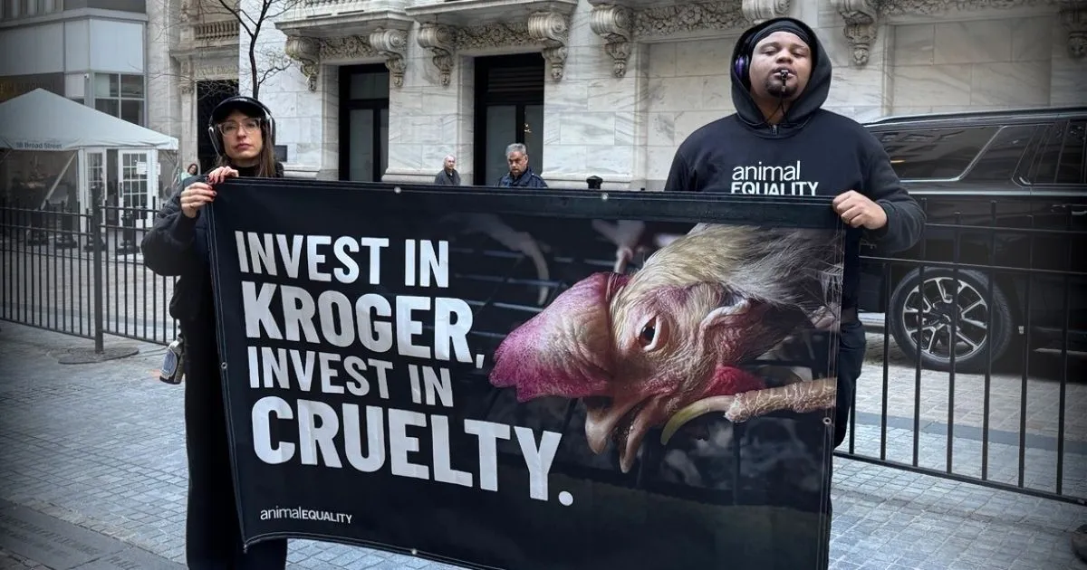 Two Animal Equality activists hold a banner reading “Invest in Kroger, Invest in Cruelty” outside the New York Stock Exchange in New York City on October 20, 2026.