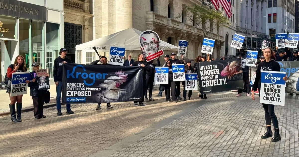 Animal Equality activists hold signs outside the New York Stock Exchange in New York City on October 20, 2026, calling on Kroger to fulfill its broken cage-free commitment.